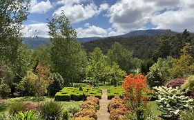 Delderfield Villas Adults Retreat